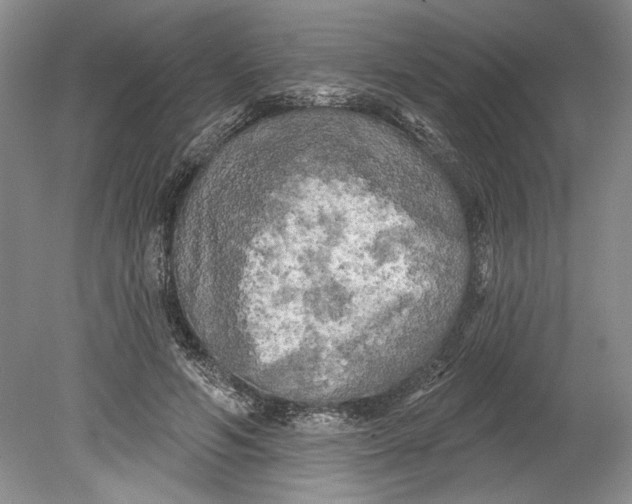 X0000080740594200701021149