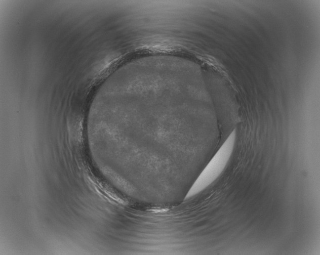 X0000080740596200701021149