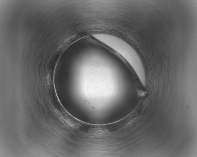 X0000080740597200701021149