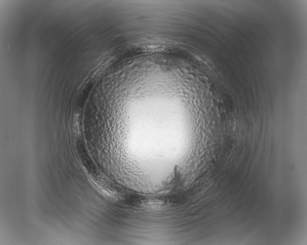 X0000080740598200701021149