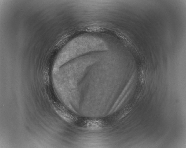 X0000080740599200701021149