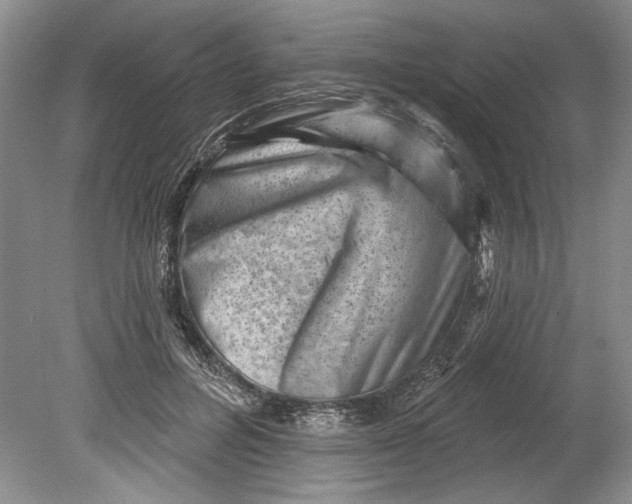 X0000080740600200701021148