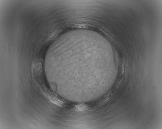 X0000080740603200701021148