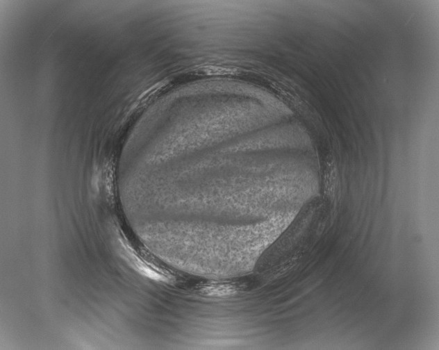 X0000080740604200701021148