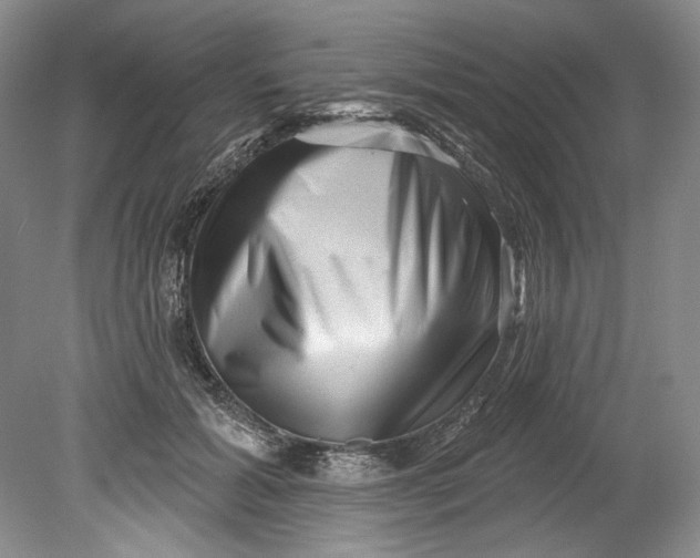 X0000080740605200701021148