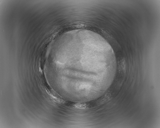 X0000080740606200701021148