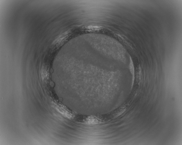 X0000080740608200701021148