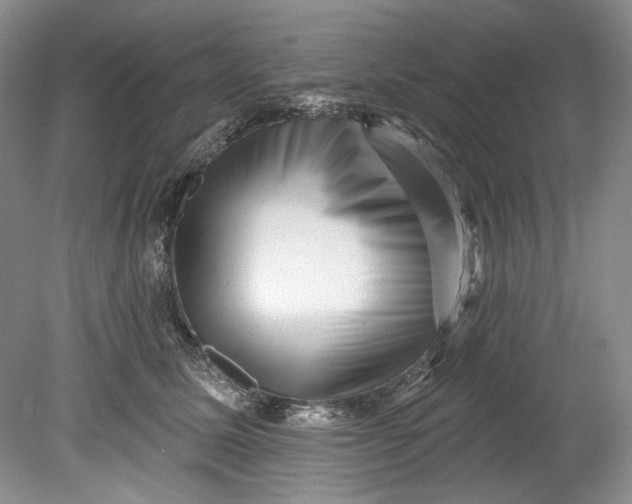 X0000080740611200701021148