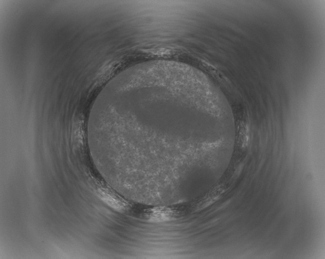 X0000080740612200701021148