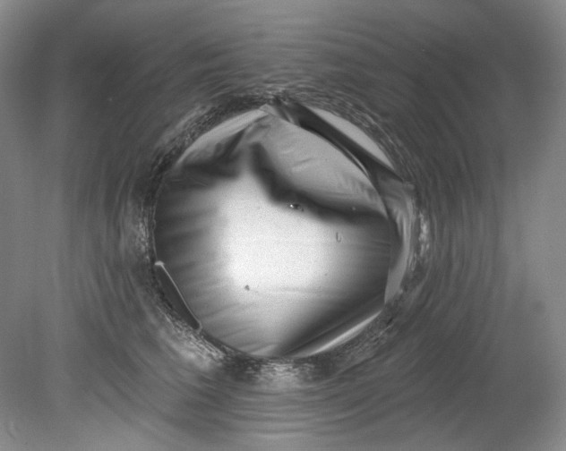 X0000080740613200701021148