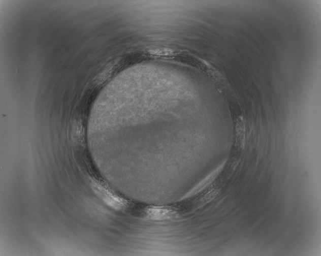 X0000080740614200701021148