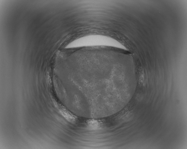 X0000080740616200701021148