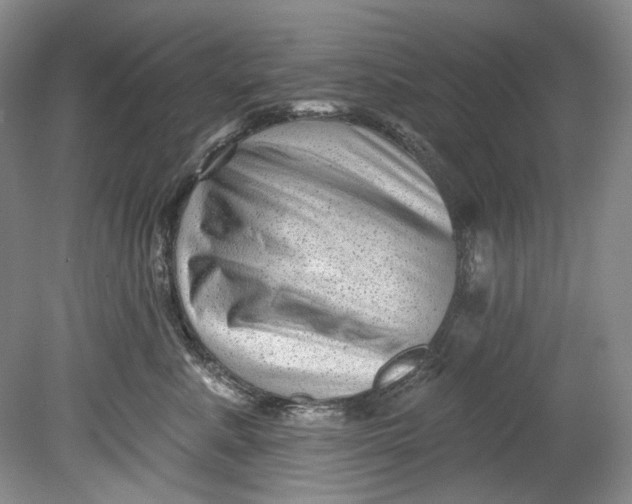 X0000080740619200701021148