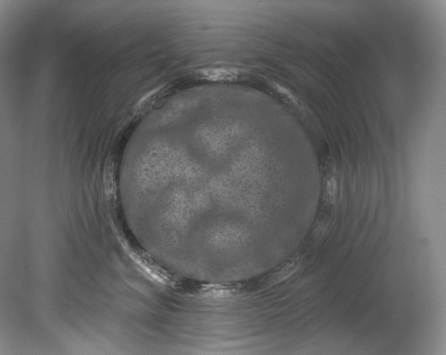 X0000080740620200701021148