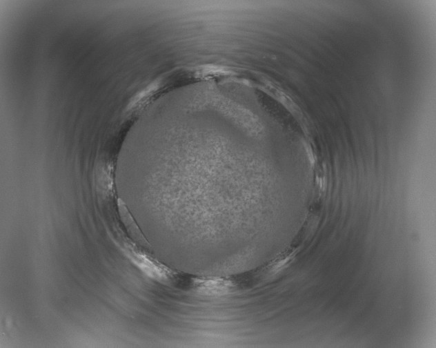 X0000080740621200701021148