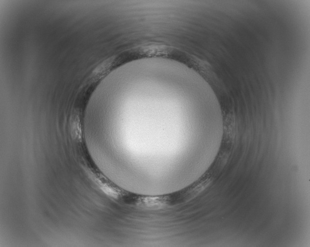 X0000080740622200701021148