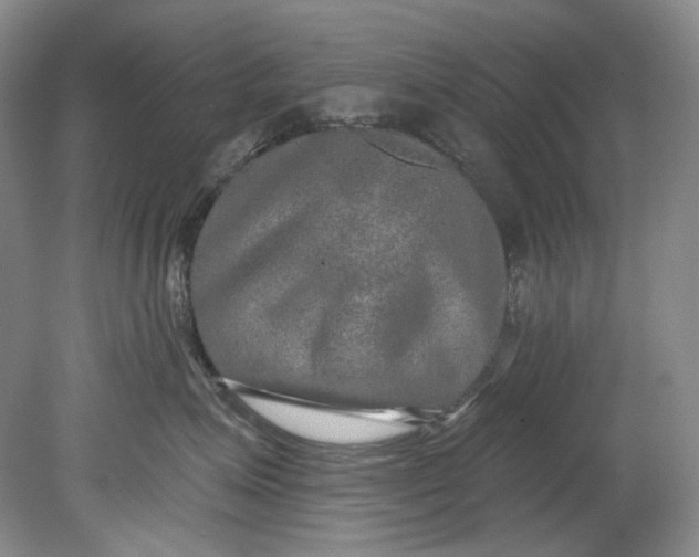 X0000080740623200701021148