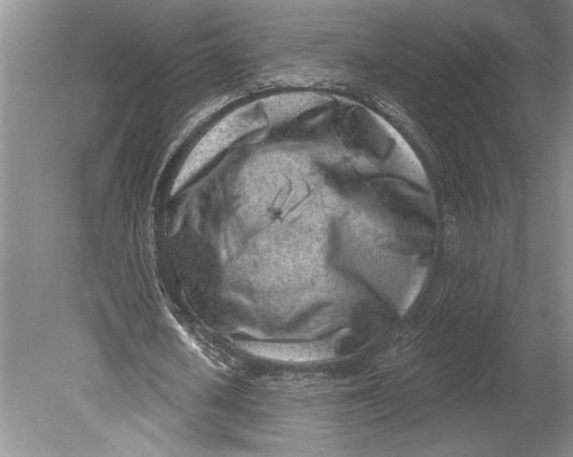 X0000080740626200701021147