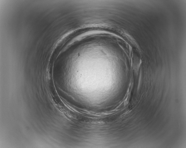 X0000080740628200701021147