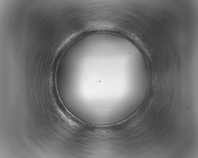 X0000080740629200701021147