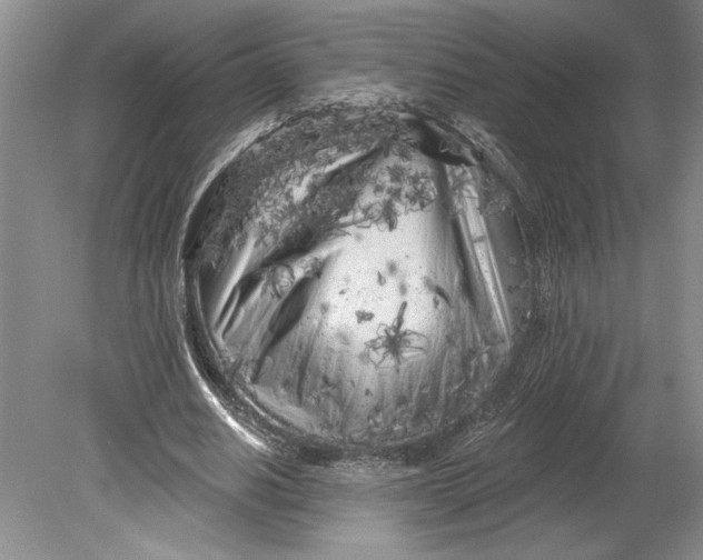 X0000080740630200701021147