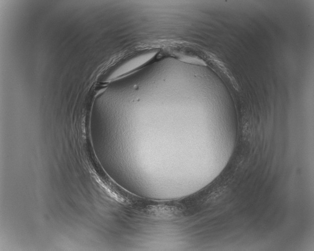 X0000080740633200701021147