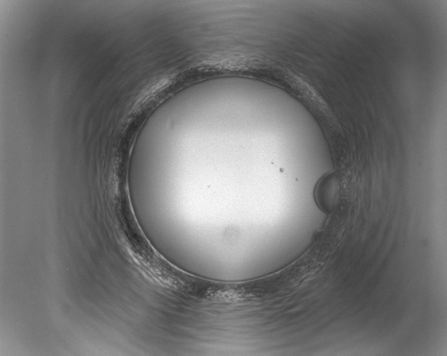 X0000080740635200701021147