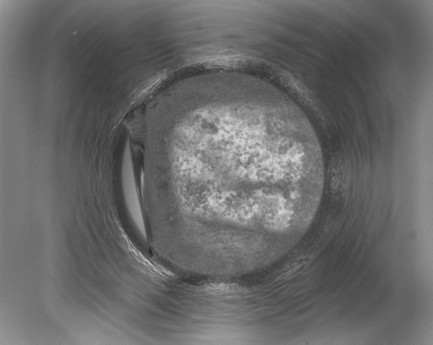 X0000080740637200701021147