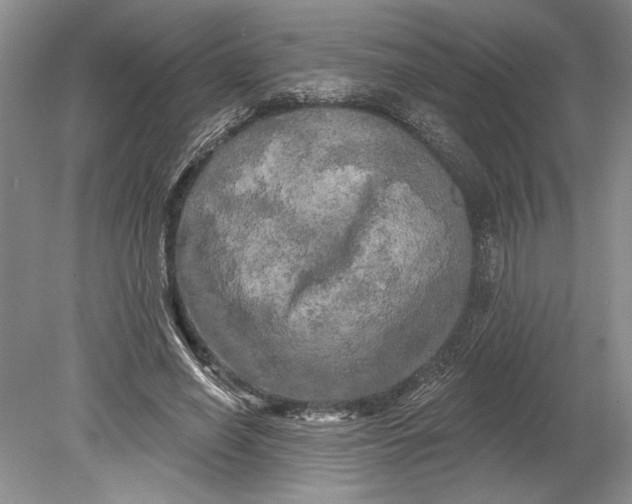 X0000080740638200701021148