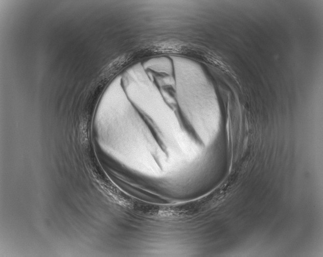 X0000080740641200701021148