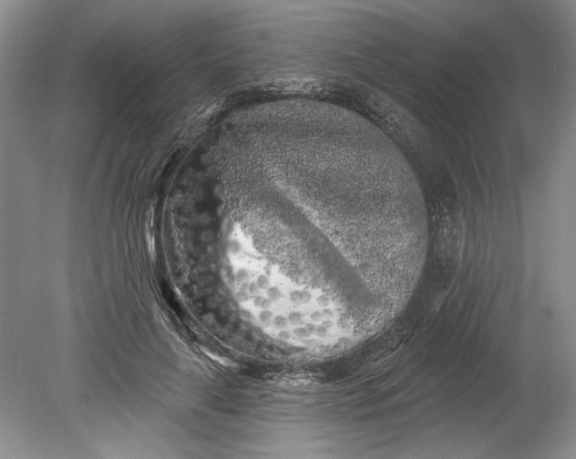 X0000080740643200701021148