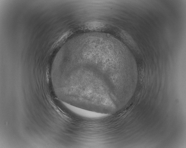 X0000080740644200701021148