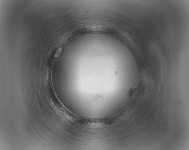 X0000080740645200701021148