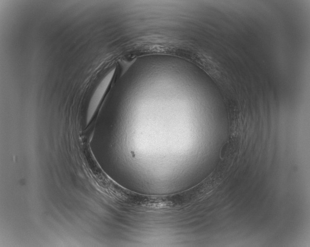 X0000080740646200701021148