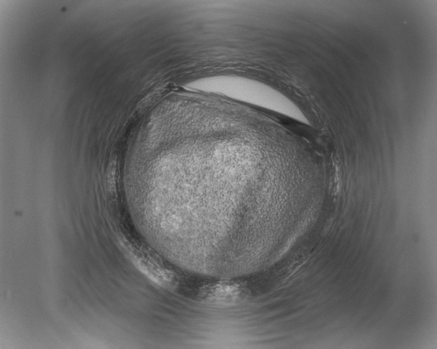 X0000080740647200701021148