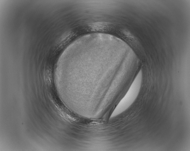 X0000080740648200701021148