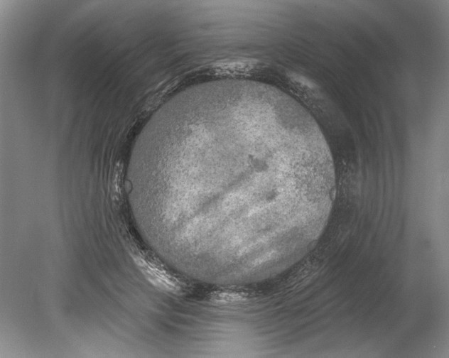 X0000080740649200701021148