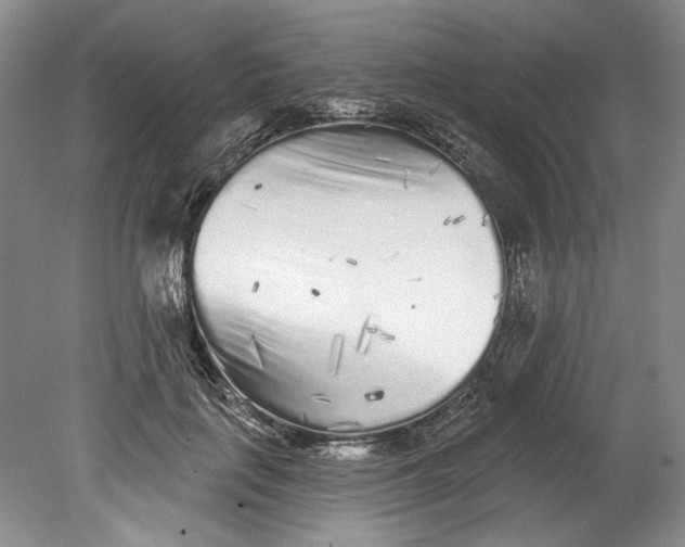 X0000080740651200701021148