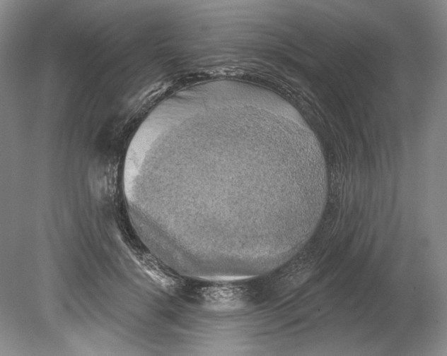 X0000080740652200701021148