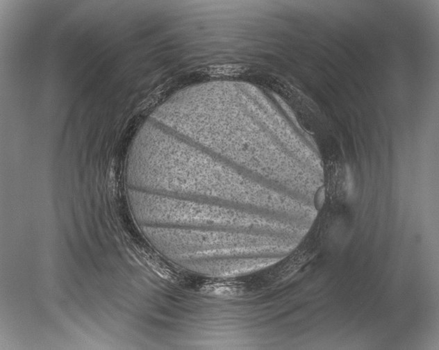 X0000080740655200701021148