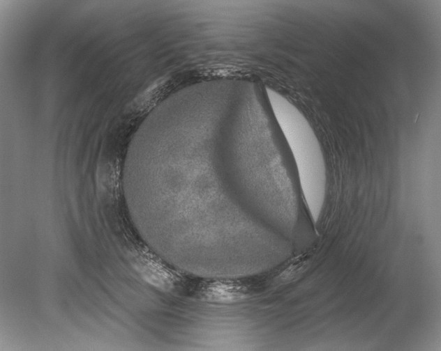 X0000080740657200701021148