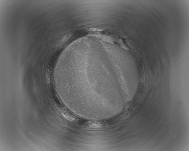 X0000080740658200701021148