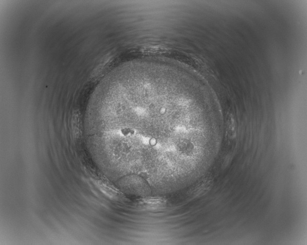 X0000080740659200701021148