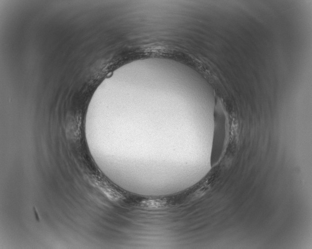 X0000080740660200701021148