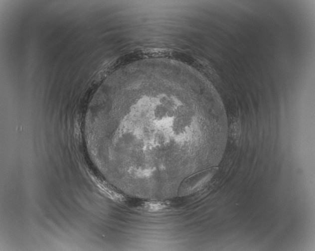 X0000080740662200701021148