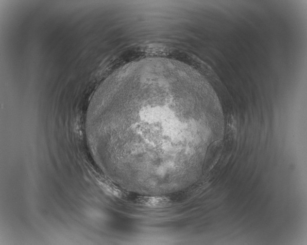 X0000080740663200701021148