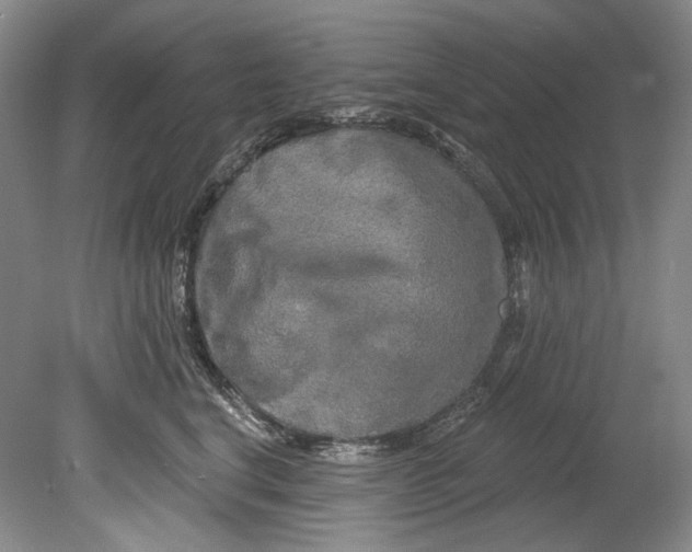 X0000080740664200701021148