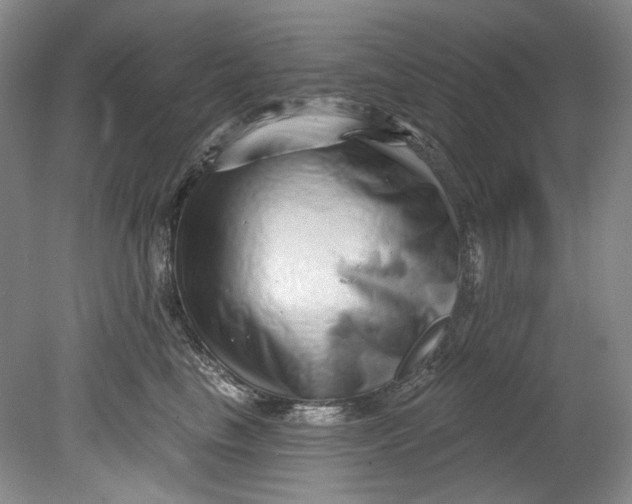 X0000080740665200701021148