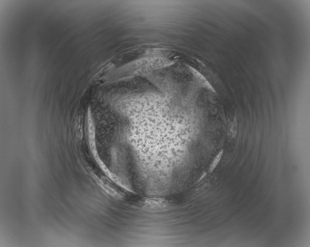 X0000080740666200701021148