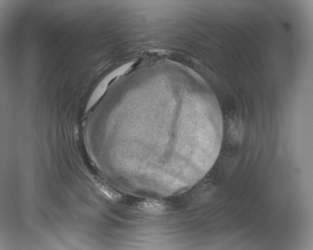 X0000080740668200701021148